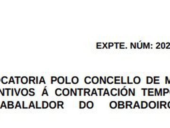 AYUDAS A TRAVÉS DE INCENTIVOS A LA CONTRATACIÓN TEMPORAL 